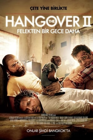 Felekten Bir Gece Daha