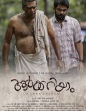 Aarkkariyam