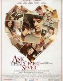 Aşk Tesadüfleri Sever
