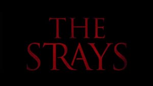 The Strays – Başıboş